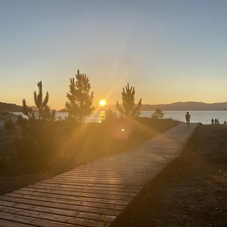 Sunny Near The Sea *