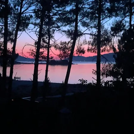 Sunny Near The Sea Дом отдыха Пуэрто-дель-Сон