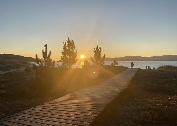 Sunny Near The Sea *