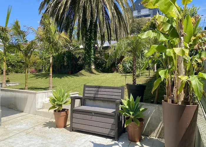 Sunny Near The Sea *